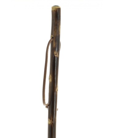 chestnut-shaft-with-compass-and-pick (1)